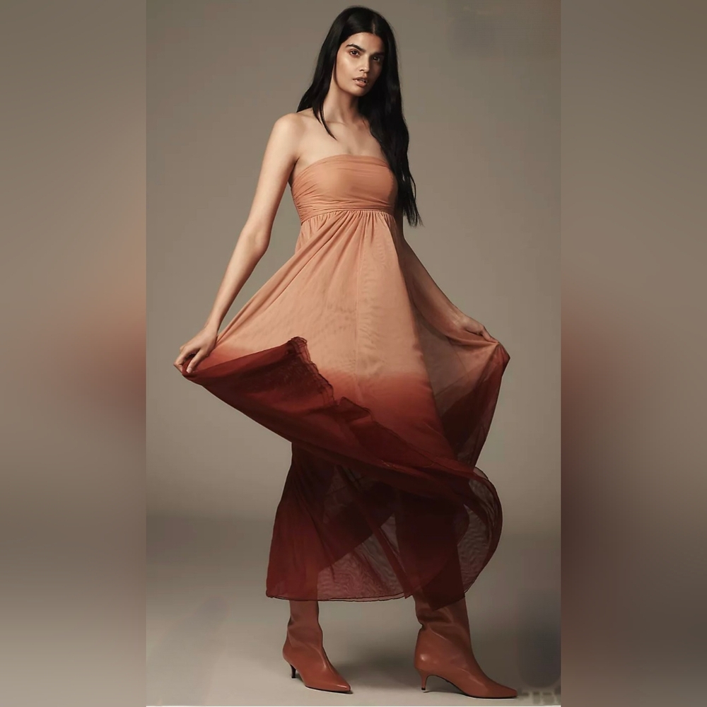 Letmebe Anthropologie maxi dress/ gown